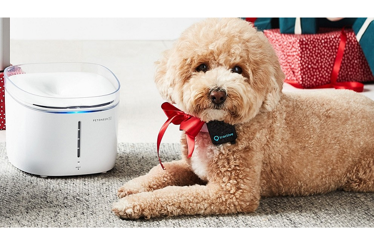 '-pets-love pets-pets accessories-petoneer-shop-shopping-water fountain for pets