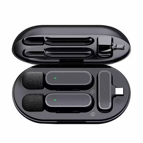GREEN LION 2 IN 1 WIRELESS MICROPHONE