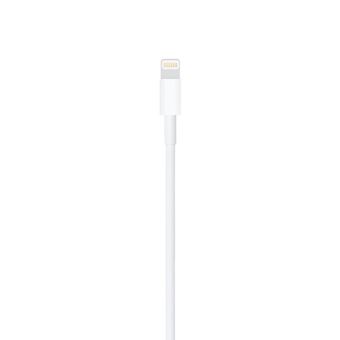 Apple LIGHTNING TO USB CABLE
