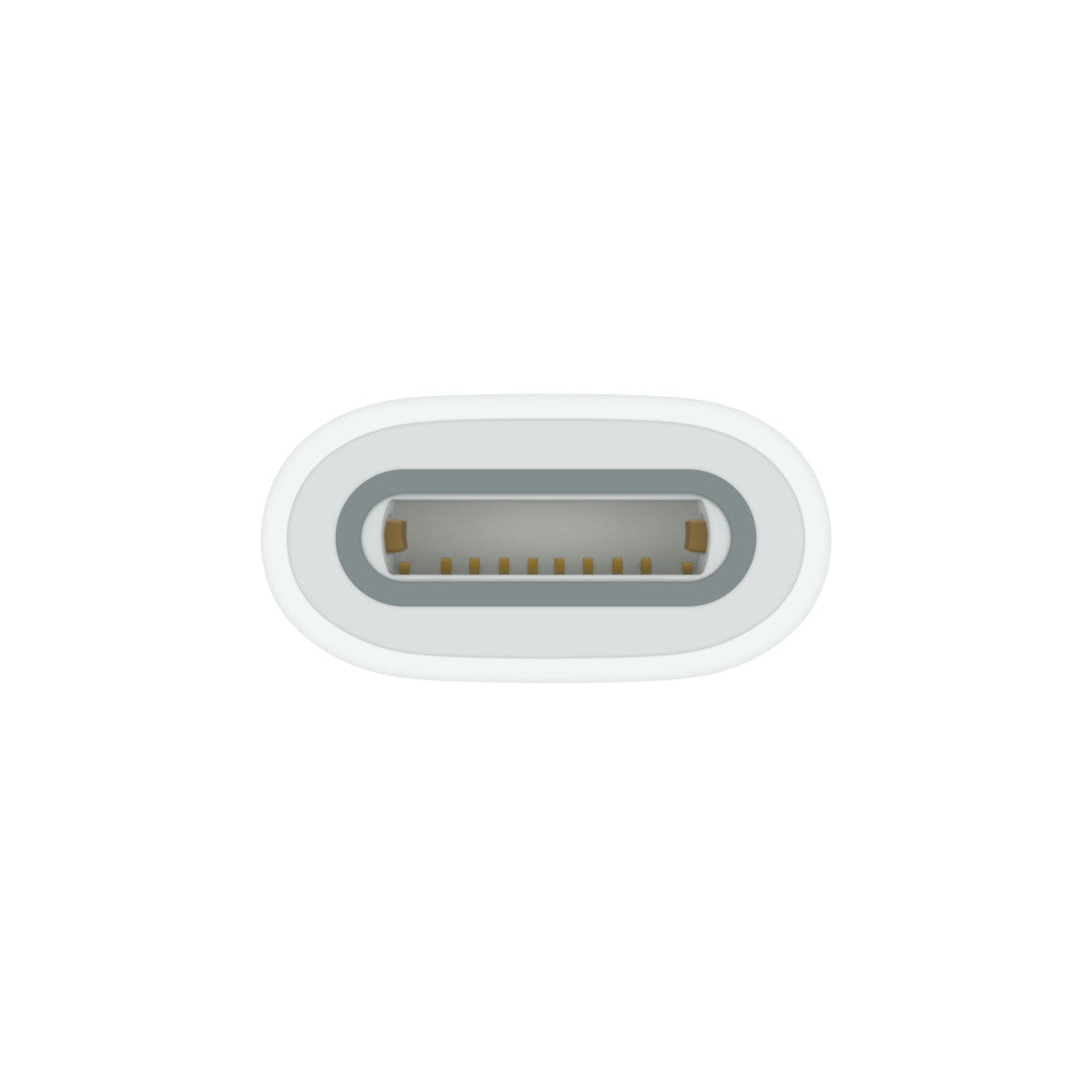 Apple power ADAPTER : USB-C TO APPLE PENCIL