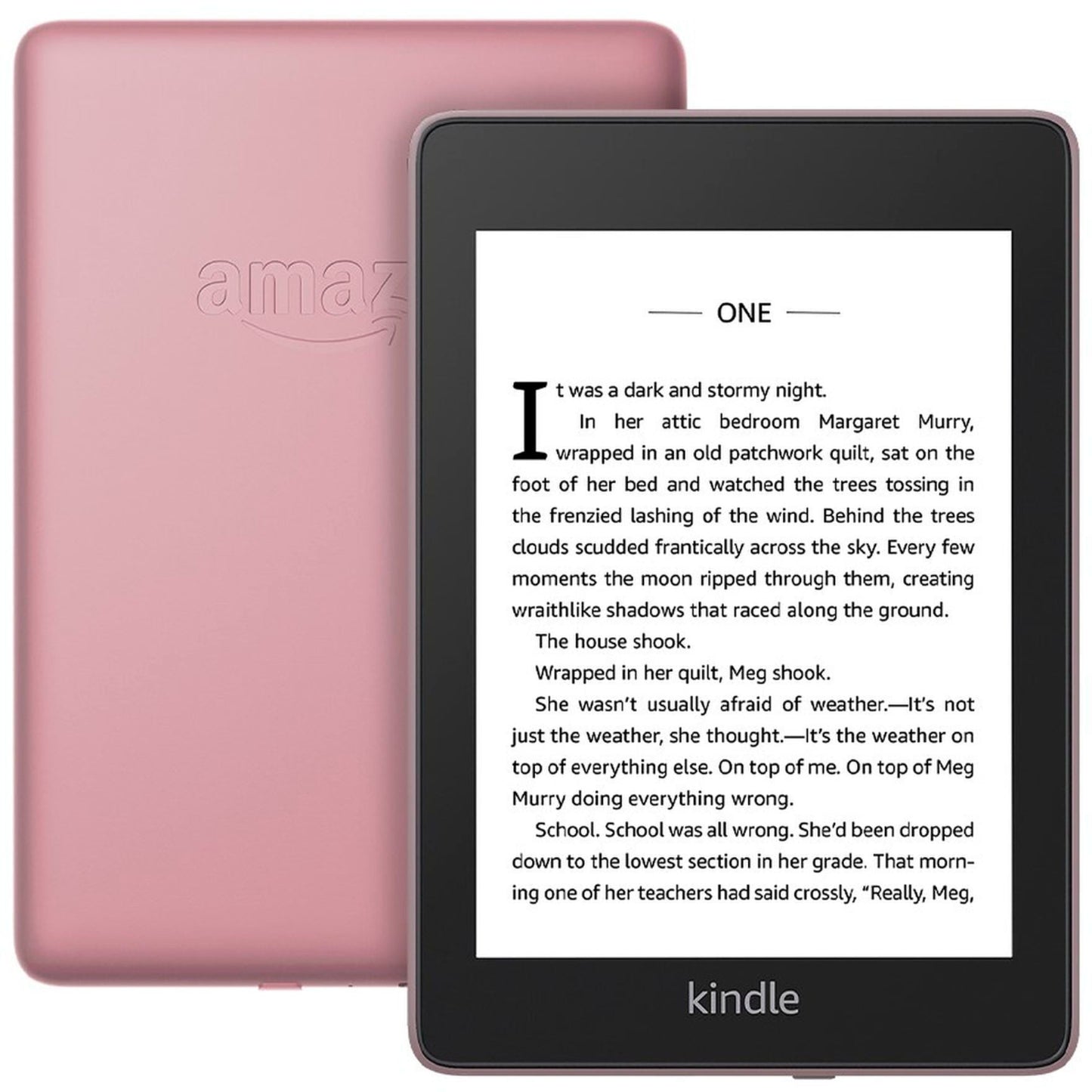 Amazon Kindle Paperwhite – 10ᵉ génération (Wi‑Fi)