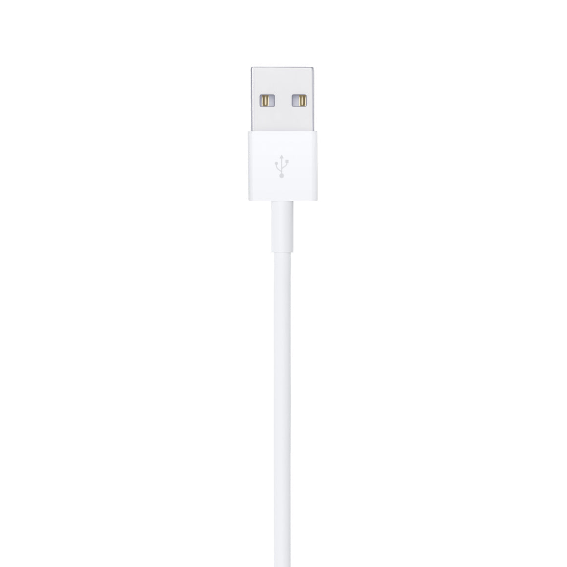 Apple LIGHTNING TO USB CABLE
