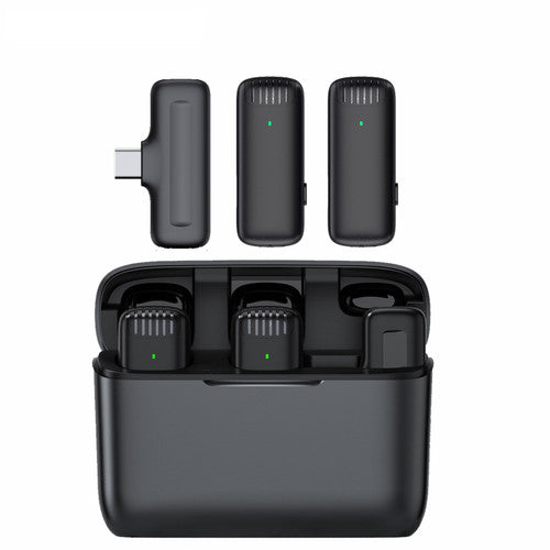 GREEN LION 2 IN 1 WIRELESS MICROPHONE