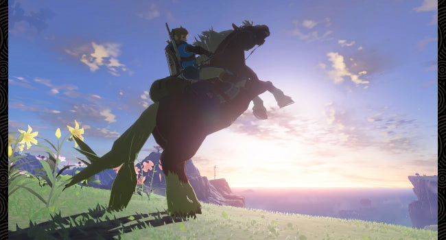 NINTENDO SWITCH GAME ZELDA TEARS OF THE KINGDOM