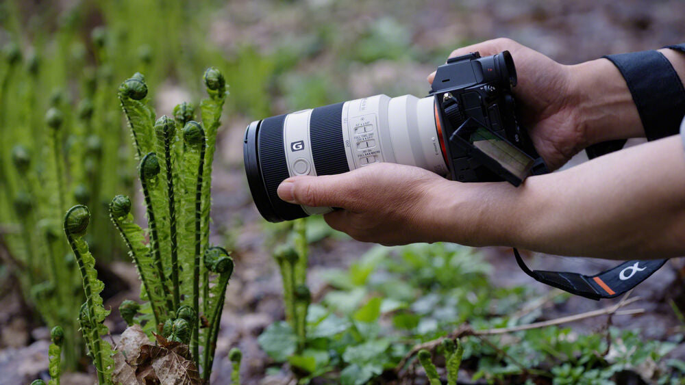 Sony Lenses